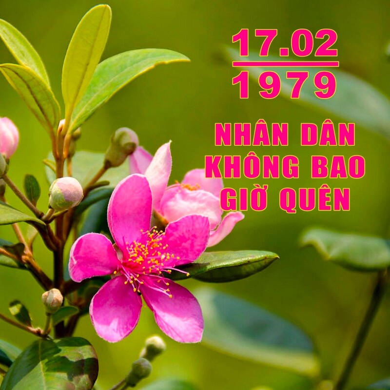 Thế hệ trẻ nghĩ về chiến tranh biên giới phía Bắc 1979